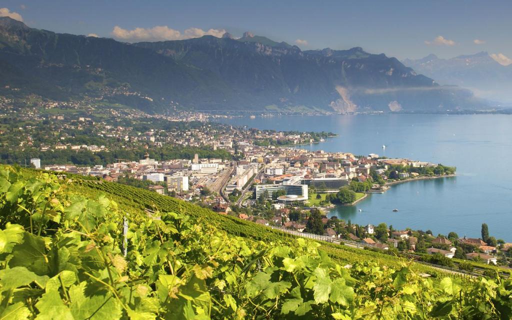 WhatsApp Image 2022-11-02 at 2.38.59 PM